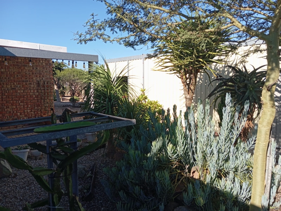 To Let 3 Bedroom Property for Rent in Cannonville Eastern Cape